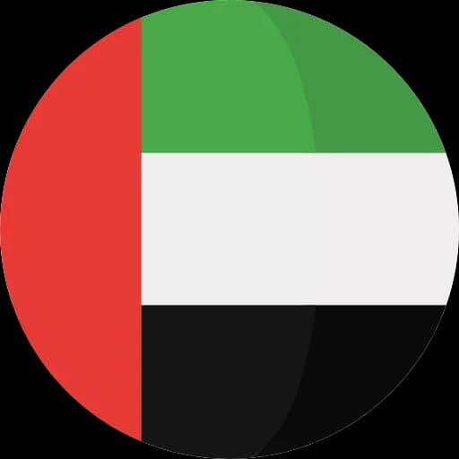 UAE flag